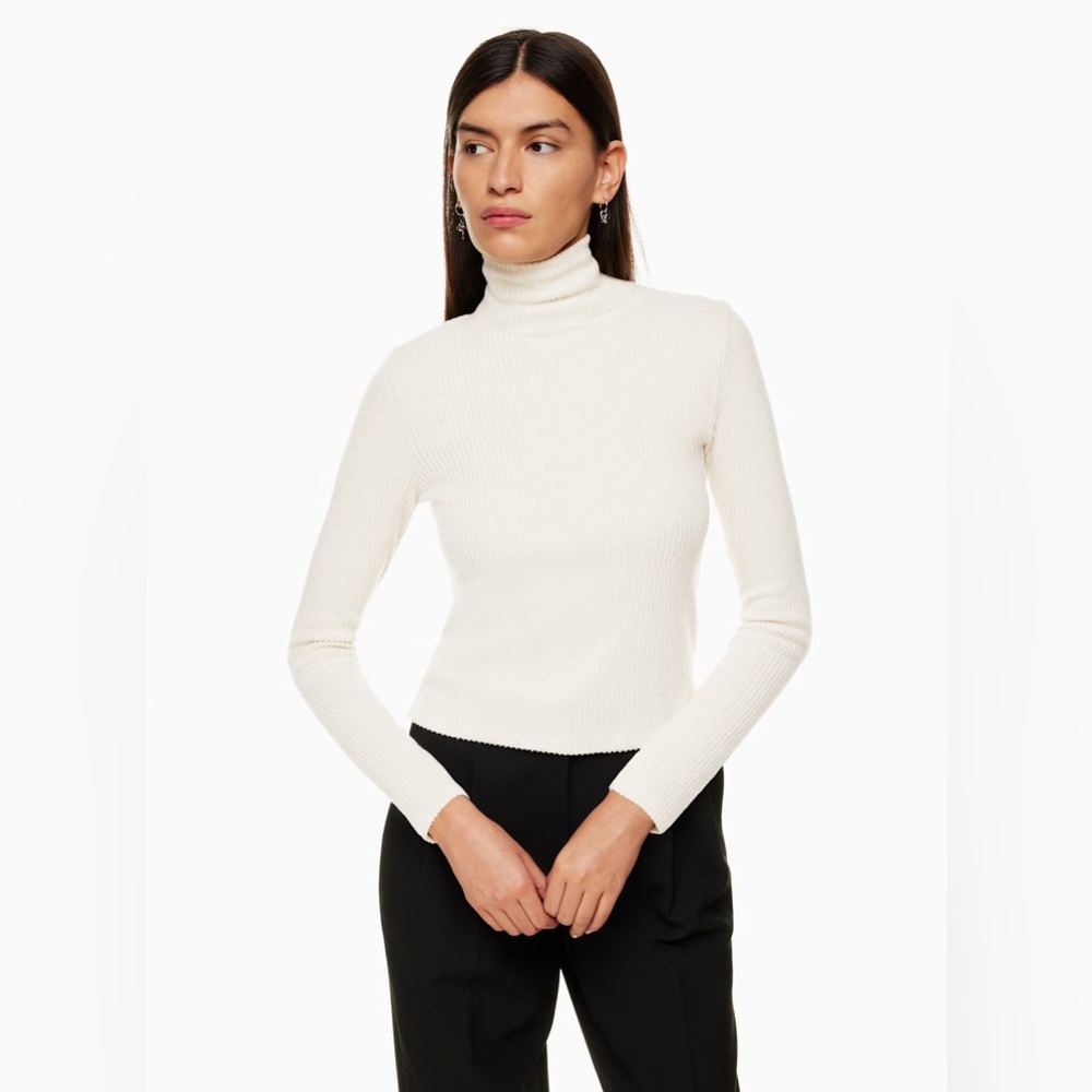 The Group Babaton Traverse Turtleneck Sweater